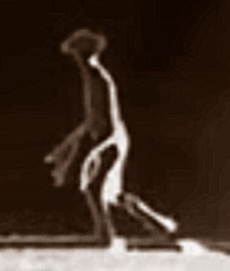 Alien Perspectives: How Extraterrestrials Might Perceive the Universe