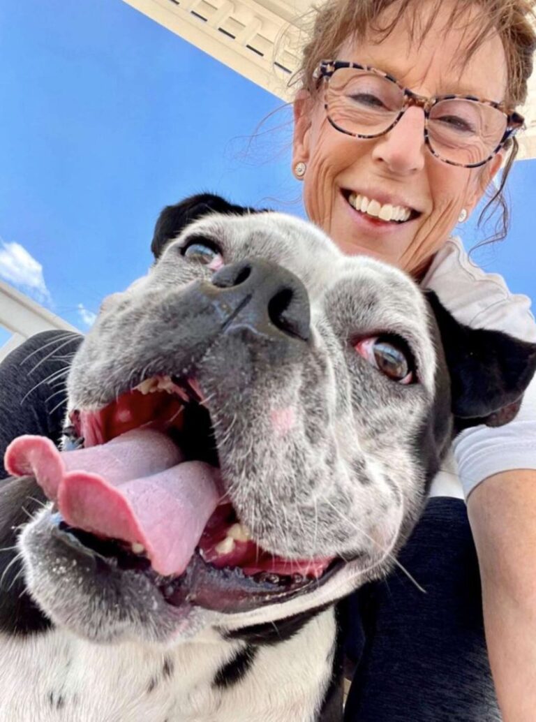 The abandoned dog never smiled until it met kind people