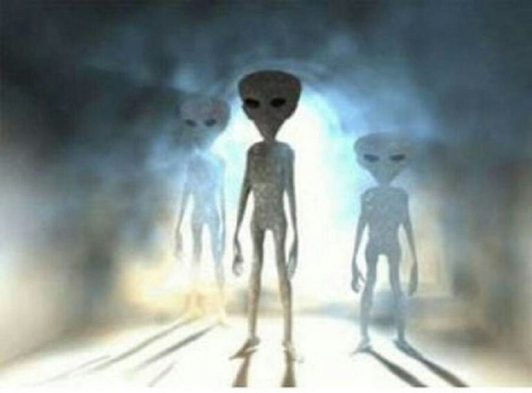 Aliens in the Shadows: Do Extraterrestrials Prefer the Dark?