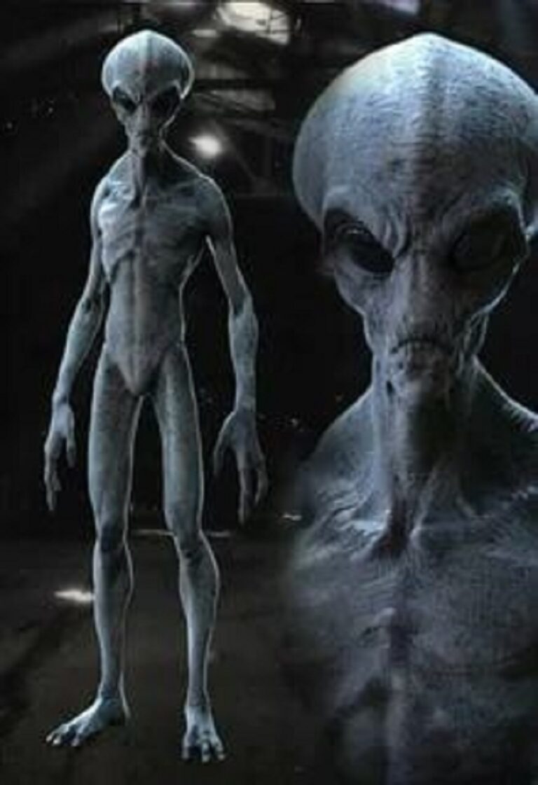 Alien Hobbies and Pastimes: What Do They Do for Fun?
