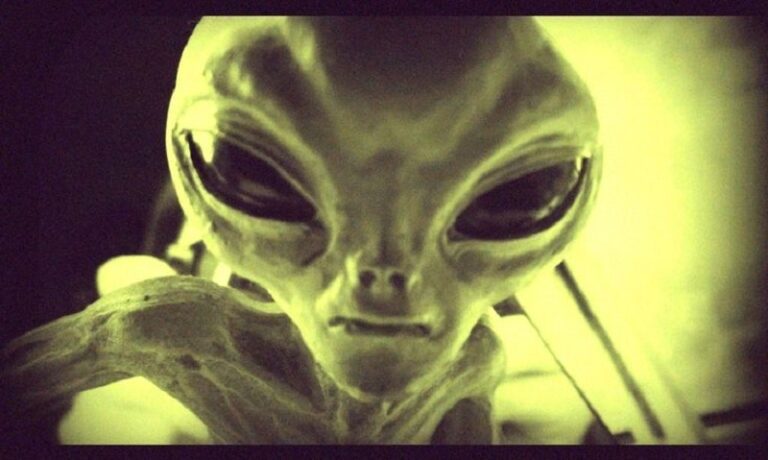 The Possibility of Alien Biochemistry