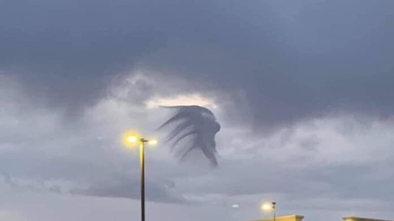 There have been incredibly mysterious moments surrounding a peculiar creature soaring through the skies in Mexico