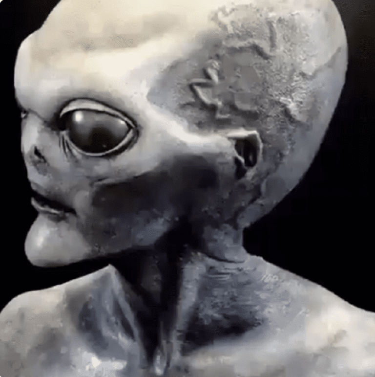 Alien Intelligence: Understanding the Cognitive Abilities of ETs