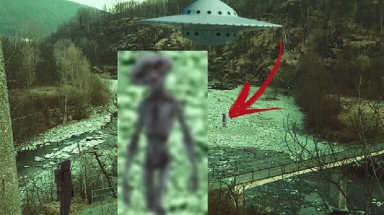UFO Shapes and Credibility: Examining Expert Testimonies
