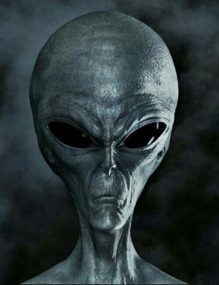 The Hunt for Extraterrestrial Life: How UFOs Fit into the Puzzle