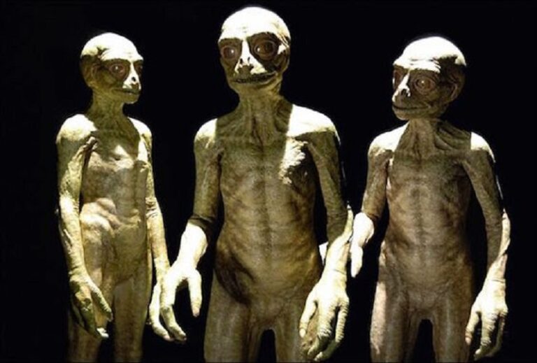 Extraterrestrial Senses: How Aliens Might Perceive the Universe