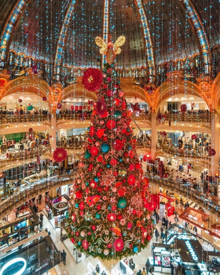 Why do we use pine trees on Christmas day and not other trees?